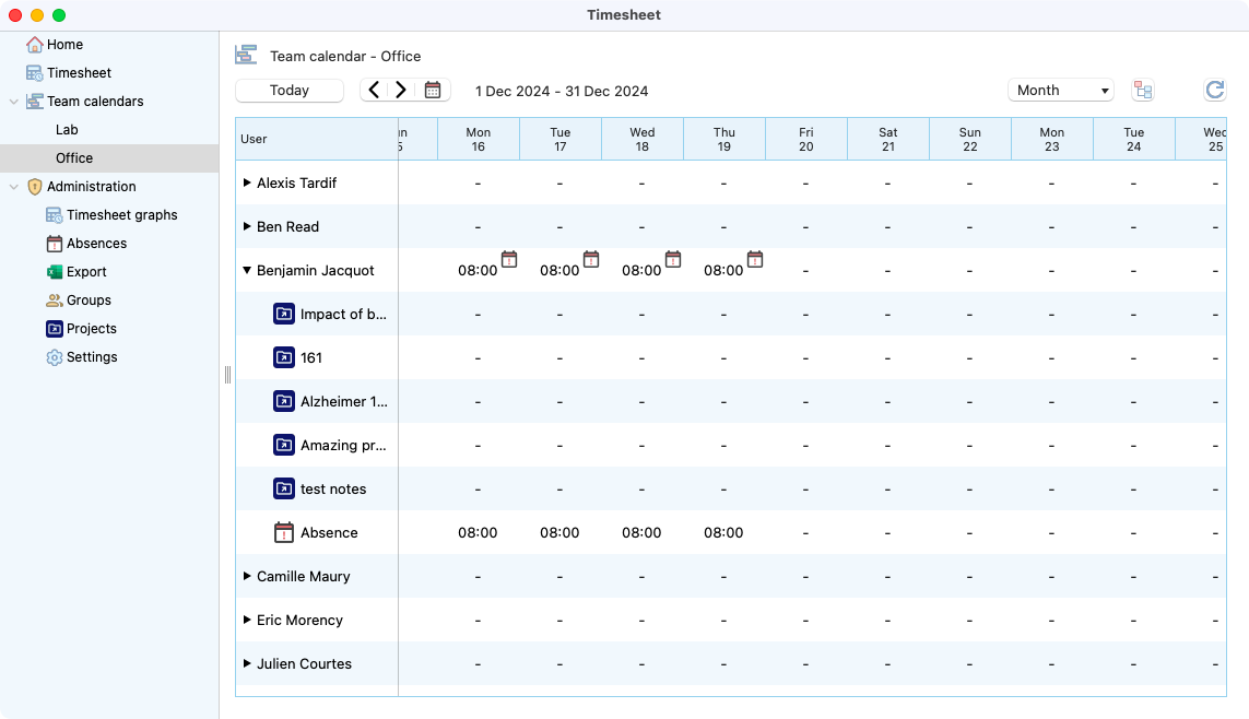 ../_images/timesheets_team_month.png